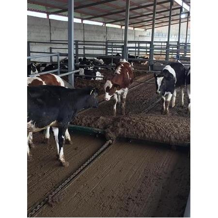 Gübre Sıyırıcı 165000 - 40 metreye kadar
